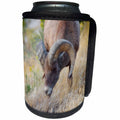3dRose Big horn sheep closeup - Can Cooler Bottle Wrap (cc-378171)