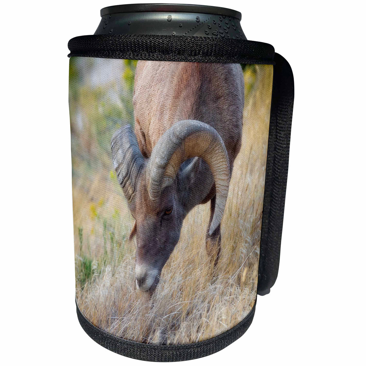 3dRose Big horn sheep closeup - Can Cooler Bottle Wrap (cc-378171)