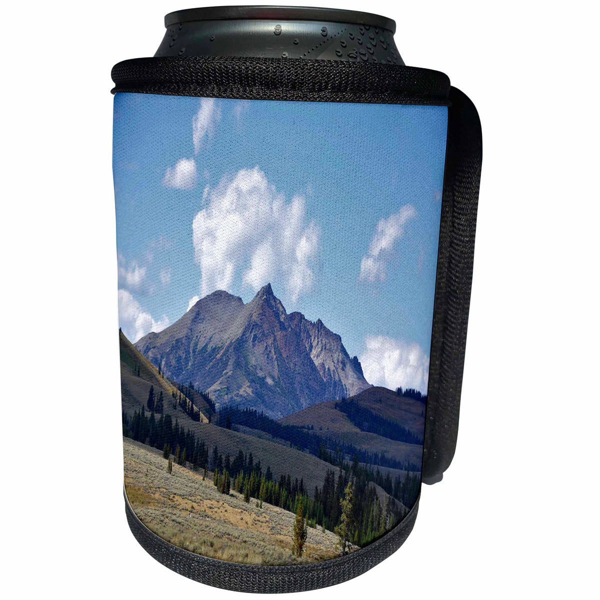 3dRose Mountain in Yellowstone National Park - Can Cooler Bottle Wrap (cc-378209)