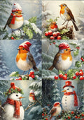 Dragonfly Crafts - Snow Robin Multi
