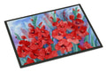 Gladioli Doormat Indoor Outdoor 18H X 27W Front Door Mat Rugs for Entryway, Non Slip Washable