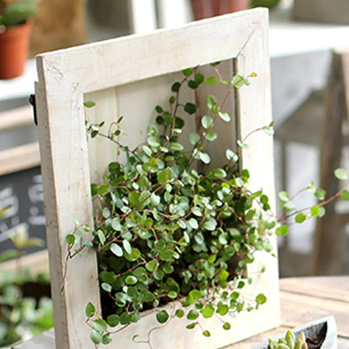Rustic Botanical Wall Frame