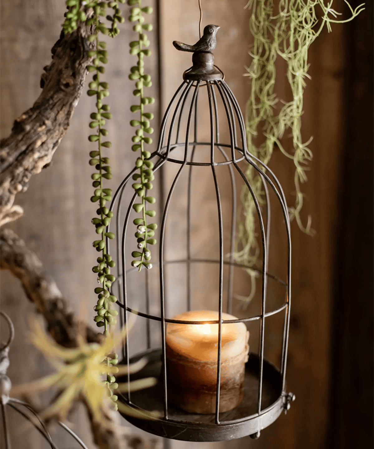 Vintage Garden Birdcage Display