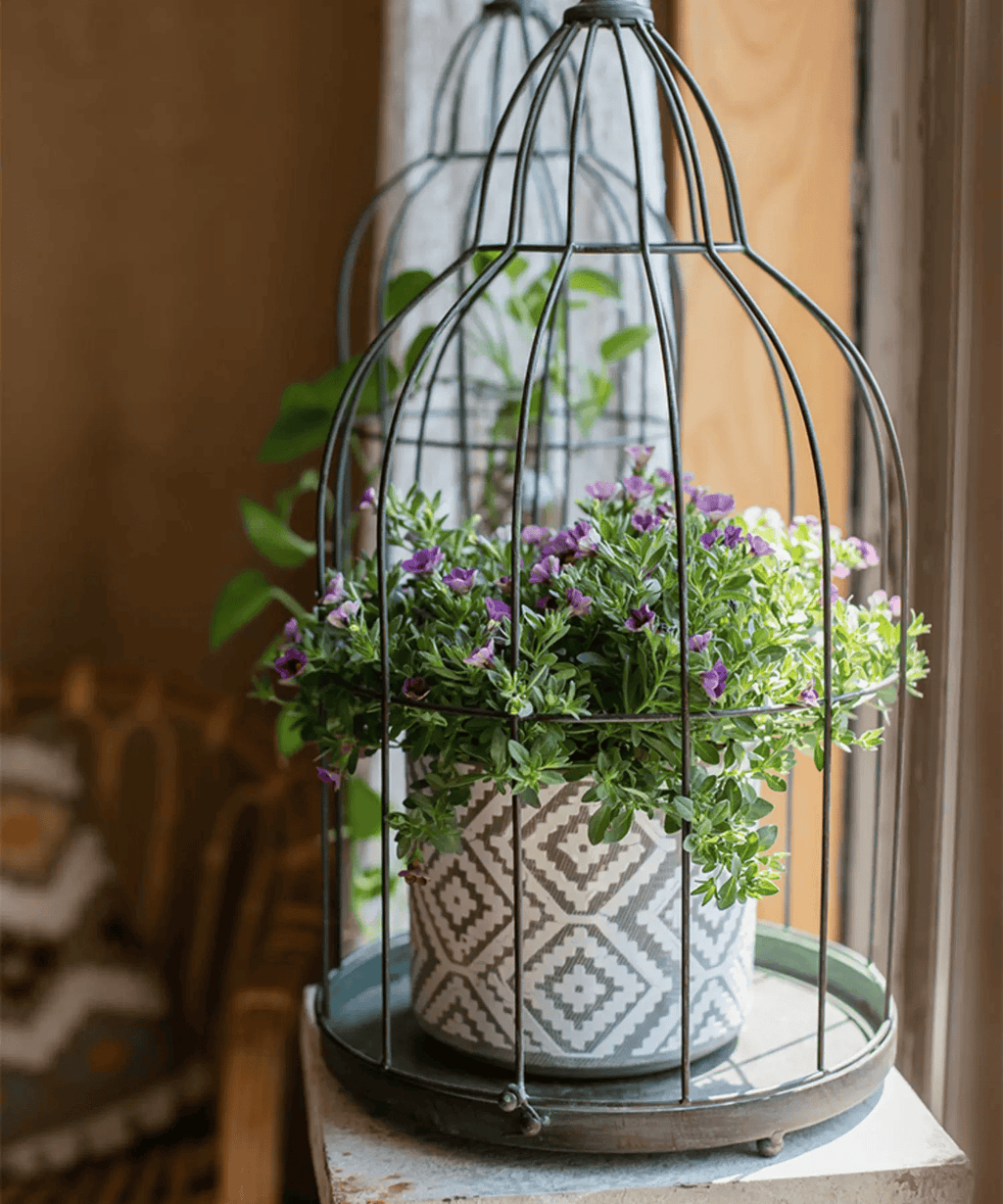 Vintage Garden Birdcage Display