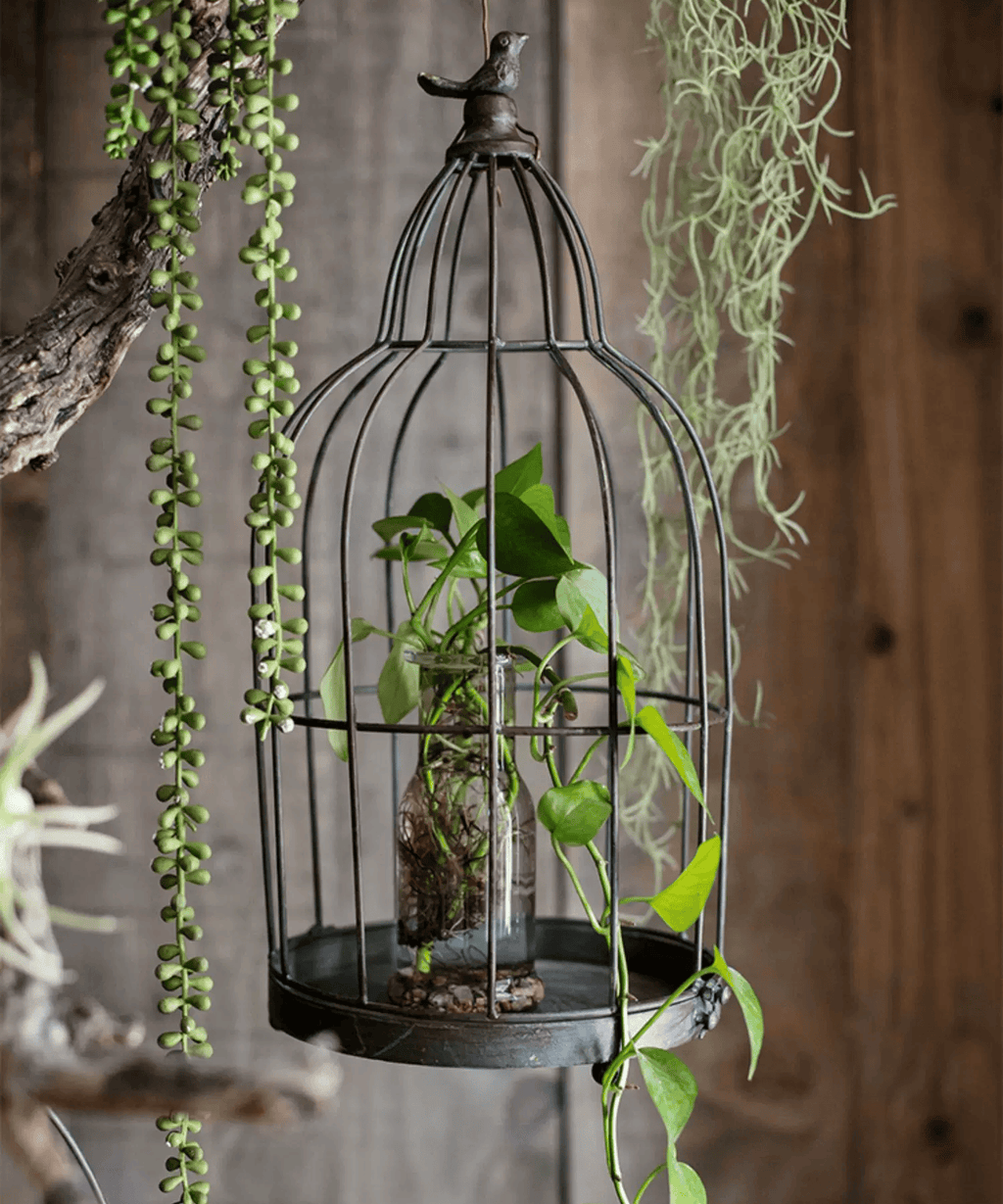 Vintage Garden Birdcage Display