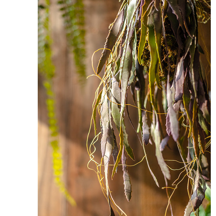 Artificial Faux Hanging Aloe Vera Plant