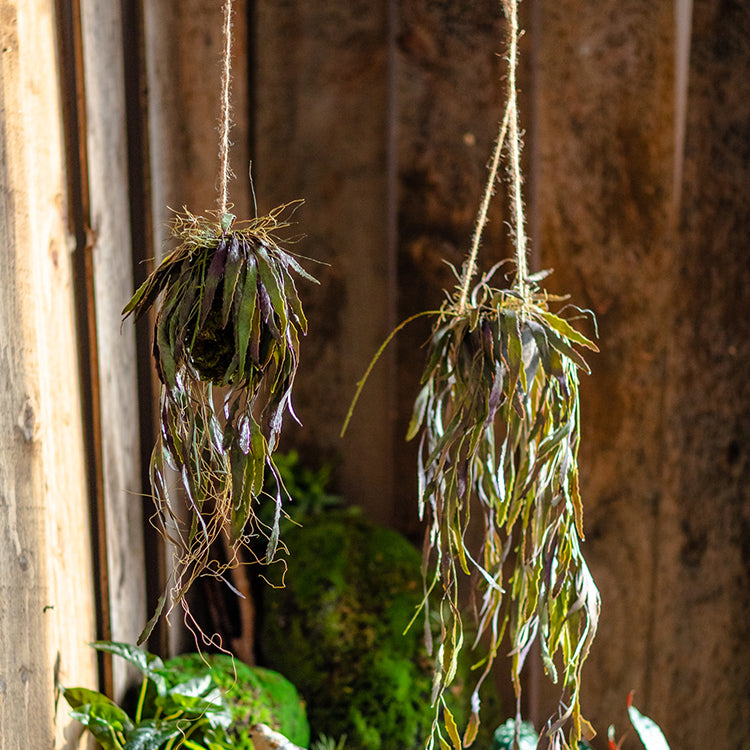 Artificial Faux Hanging Aloe Vera Plant
