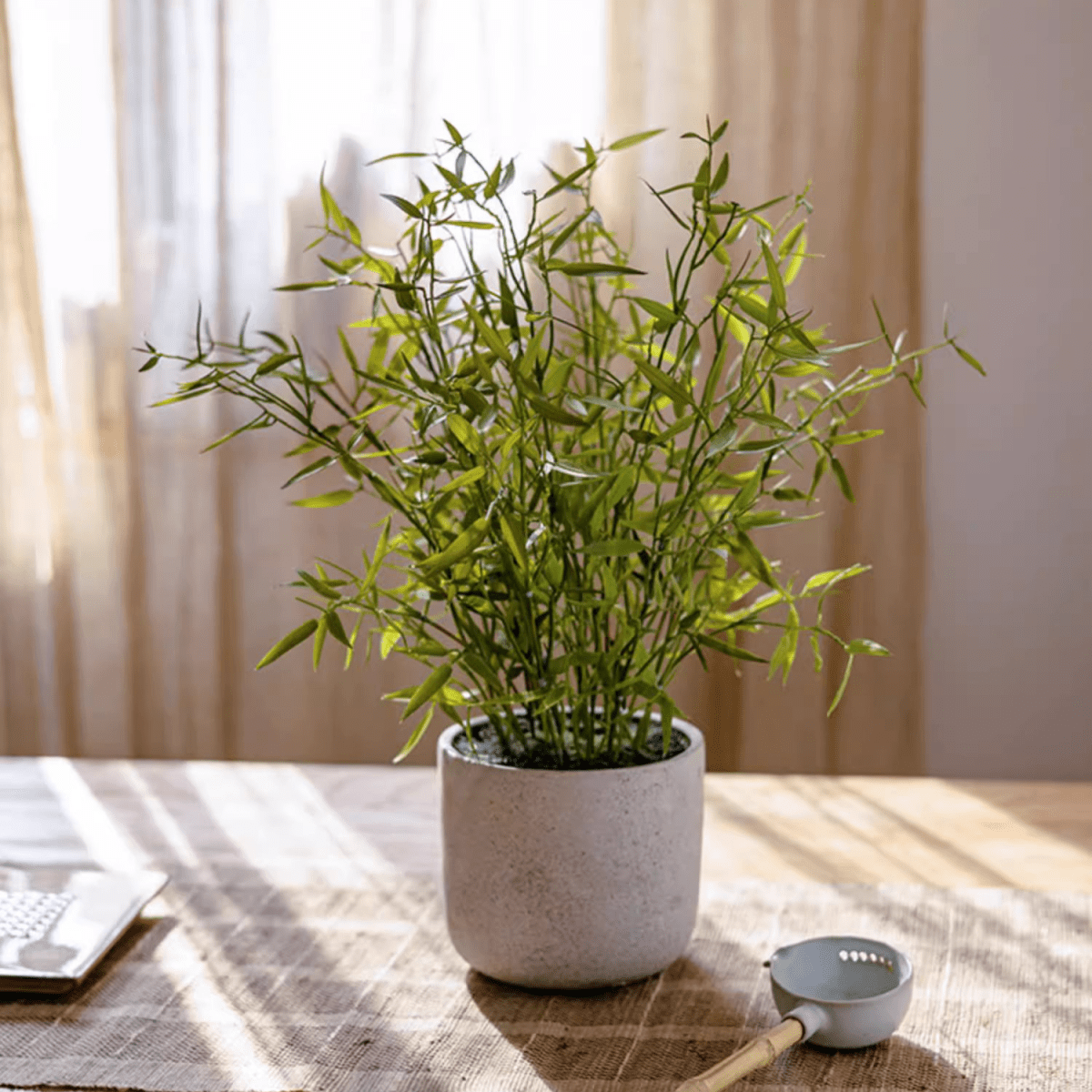Realistic Mini Bamboo Leaf Potted Plant