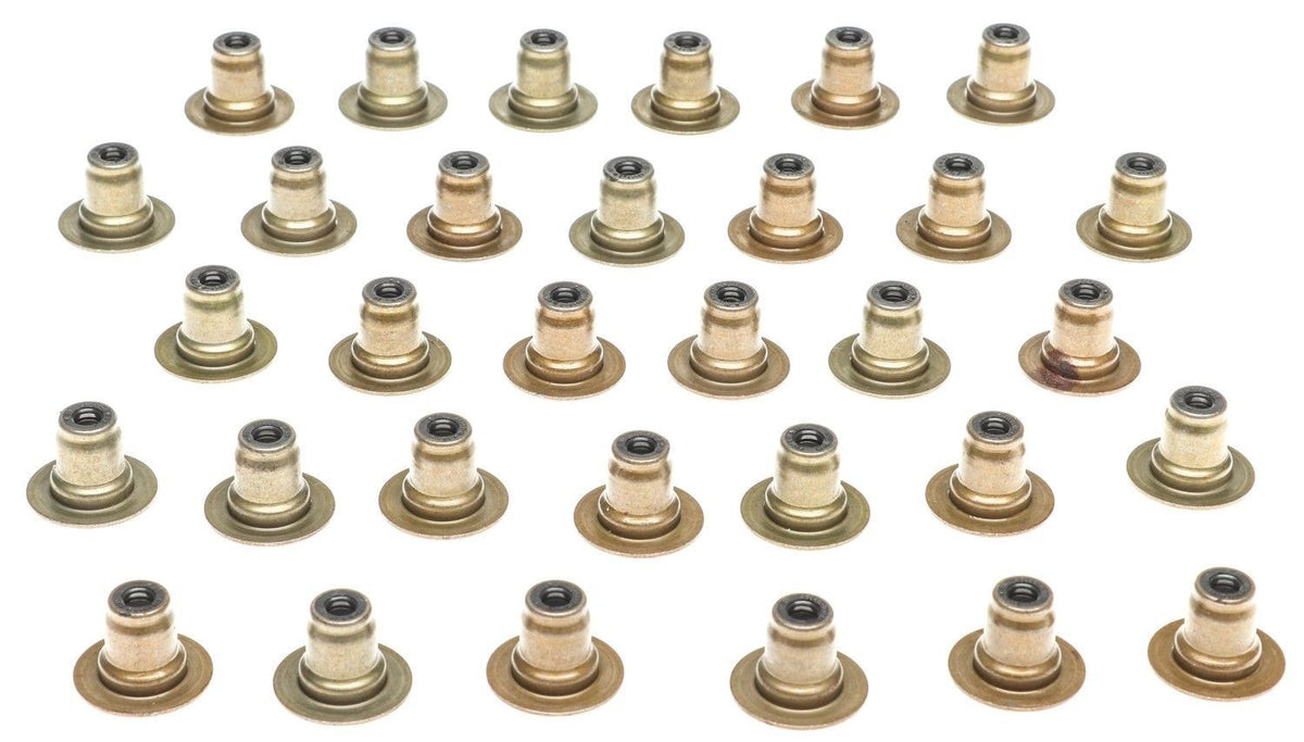 Oil Seal Set - SS46149