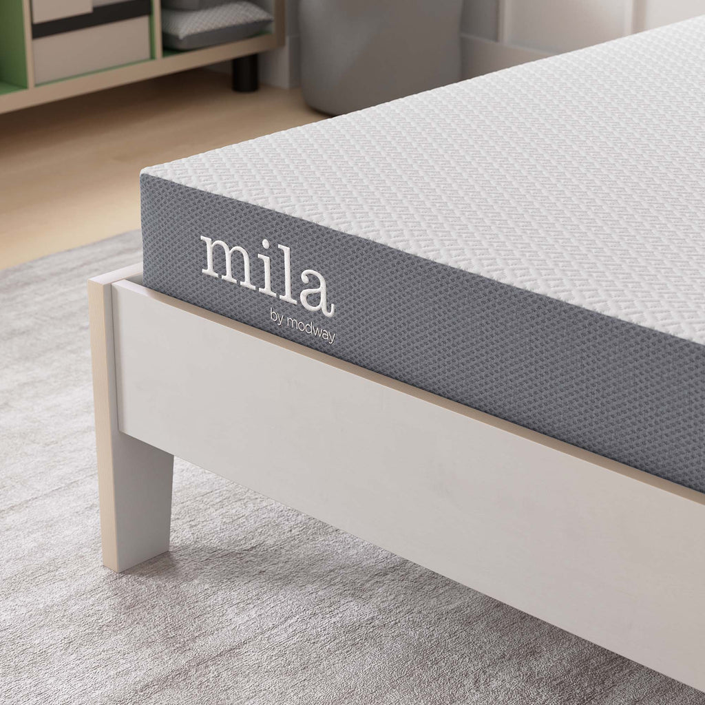 Mila 6" Twin Mattress by Modway