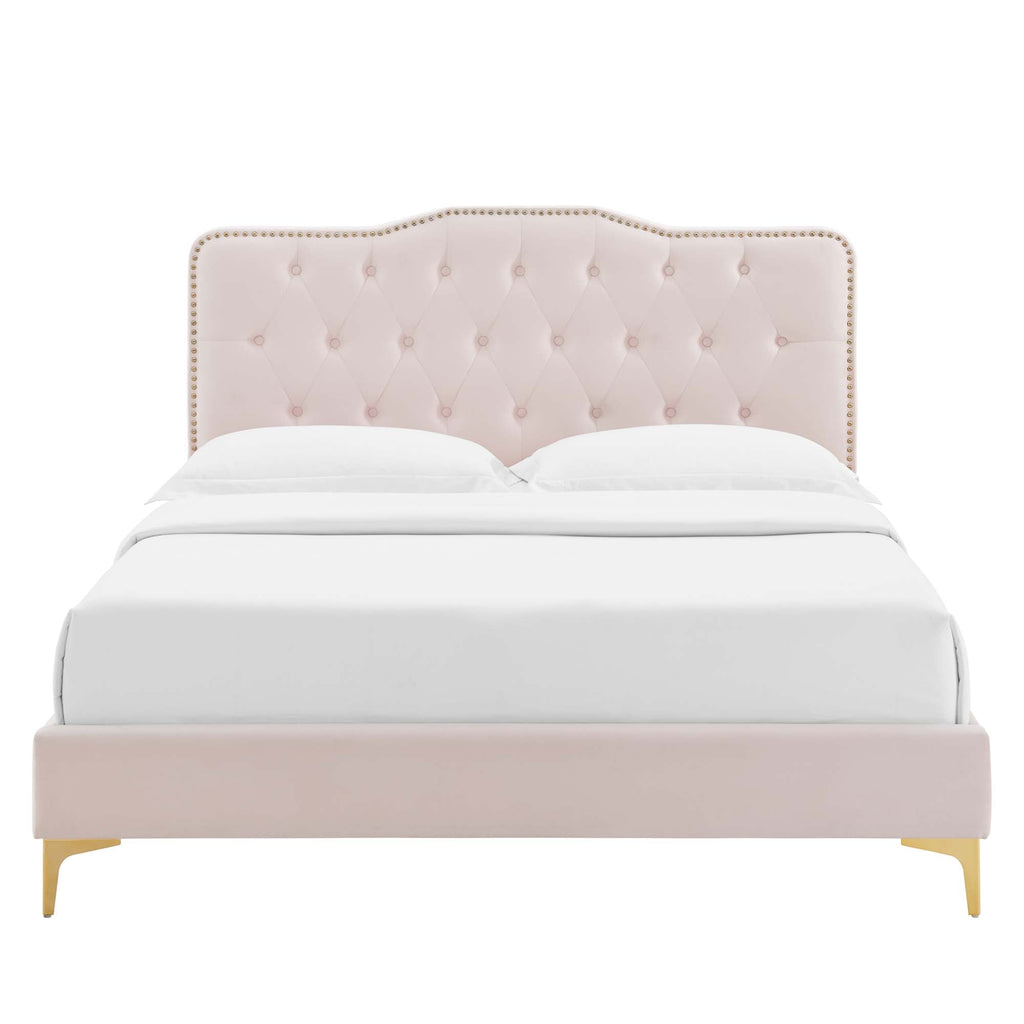 Amber Performance Velvet Queen Platform Bed by Modway - MOD-6775