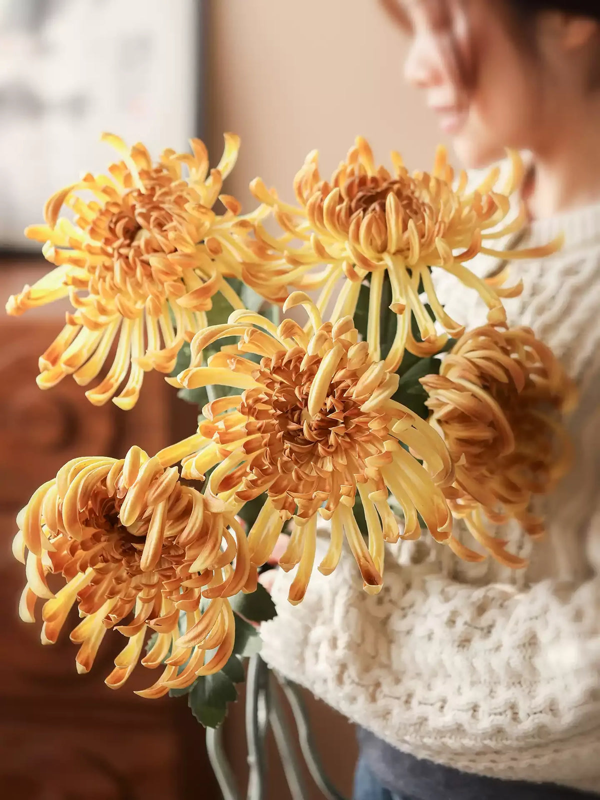 Heirloom Spider Chrysanthemum Stem – 29.9"