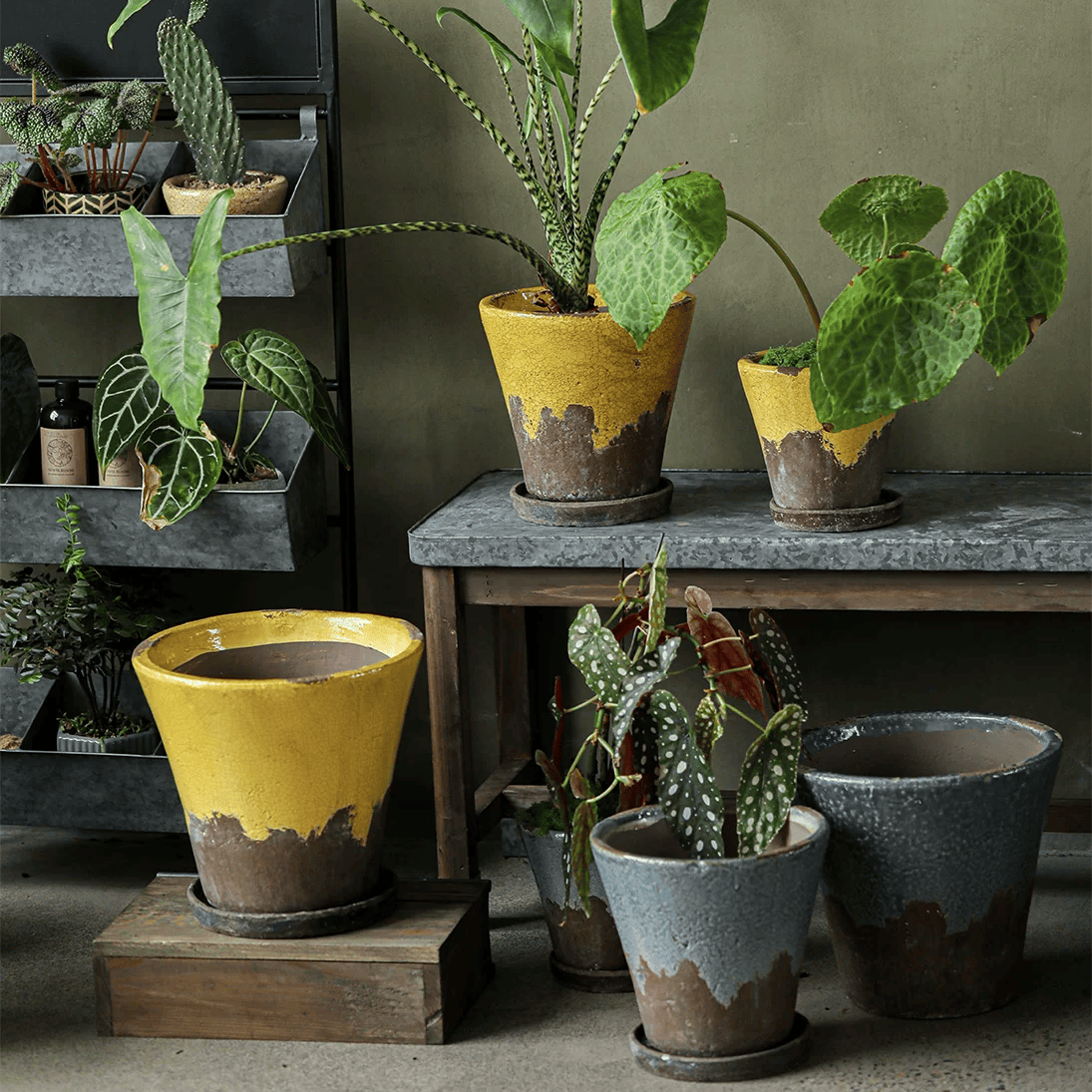 Weathered Heritage Flower Pot with Saucer
