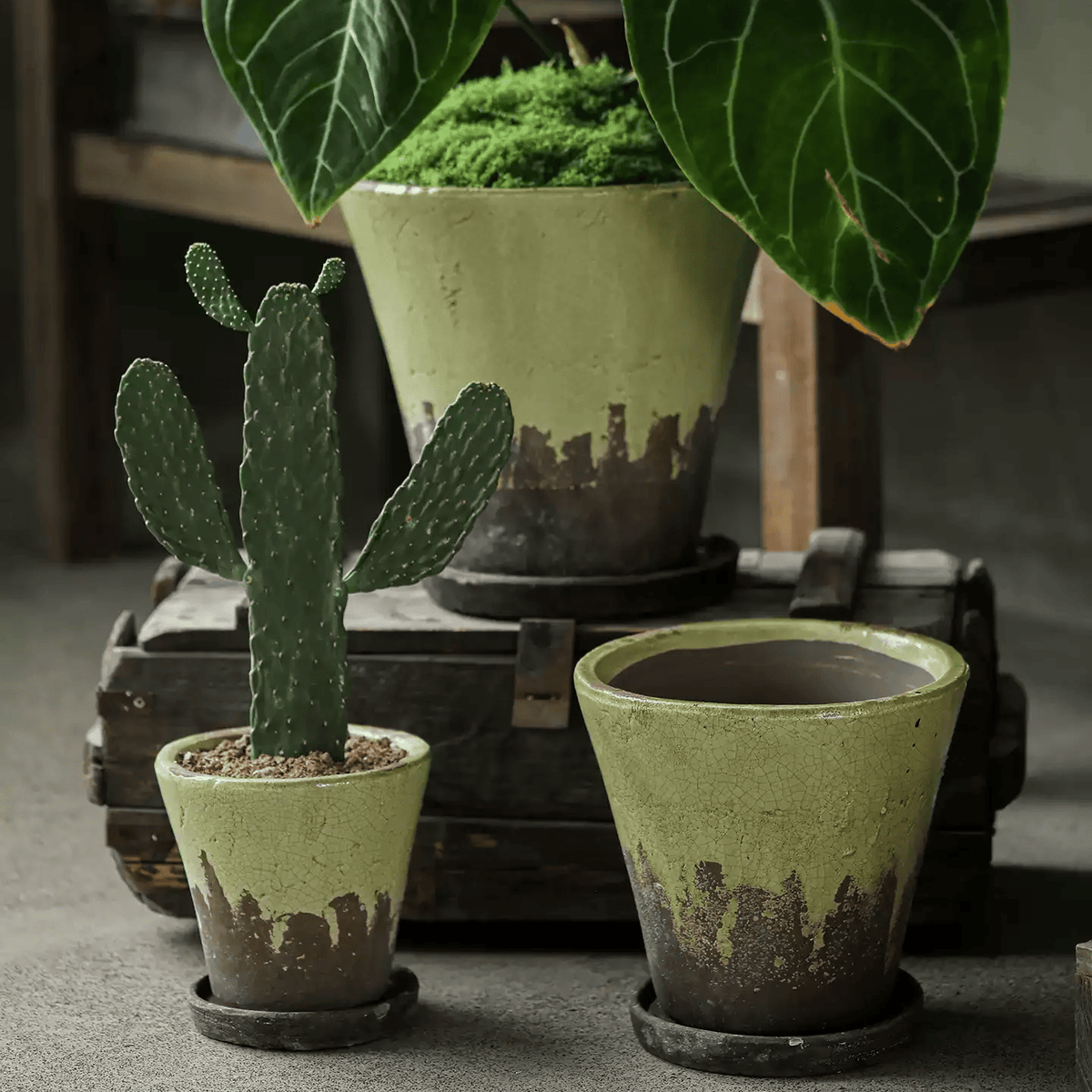 Weathered Heritage Flower Pot with Saucer