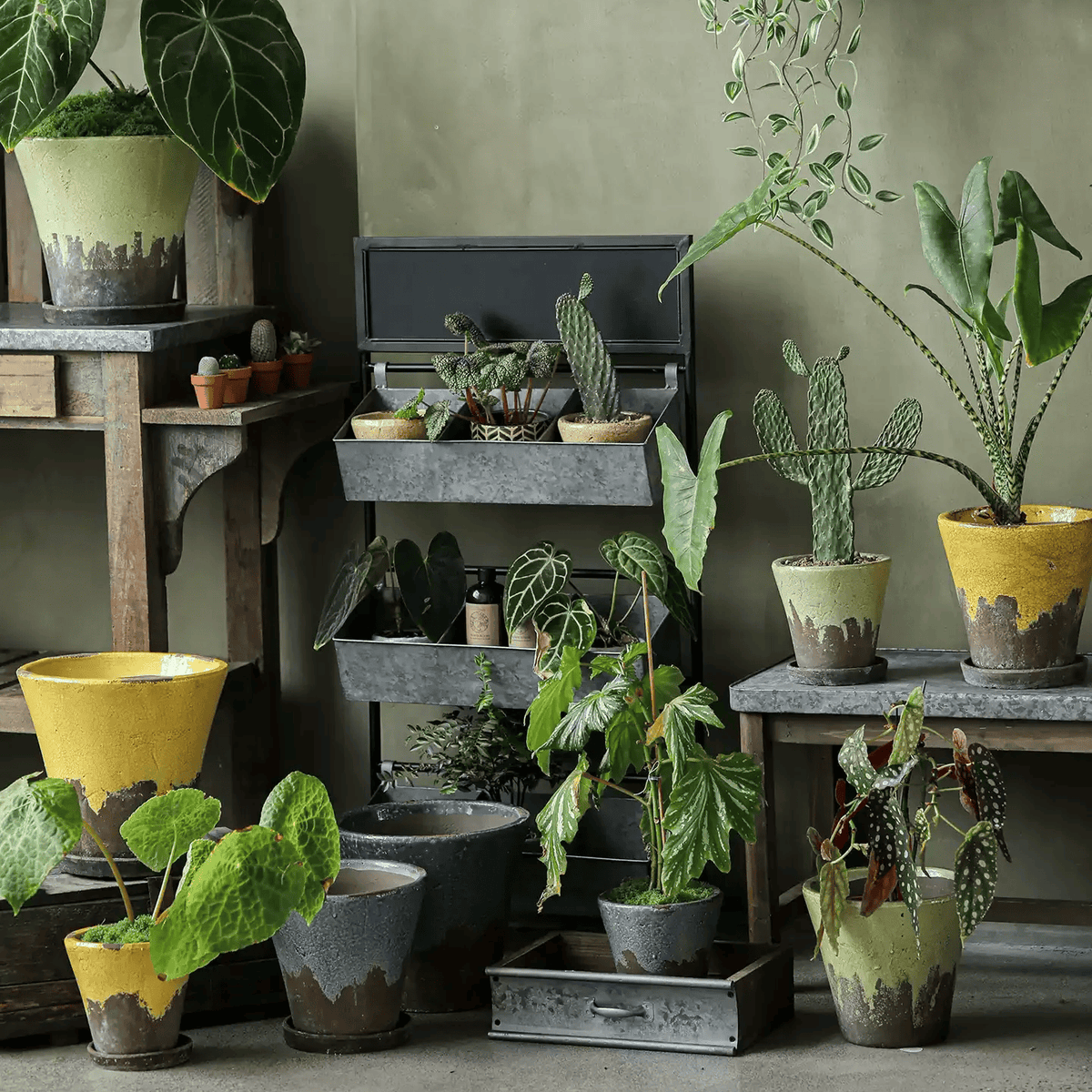 Weathered Heritage Flower Pot with Saucer