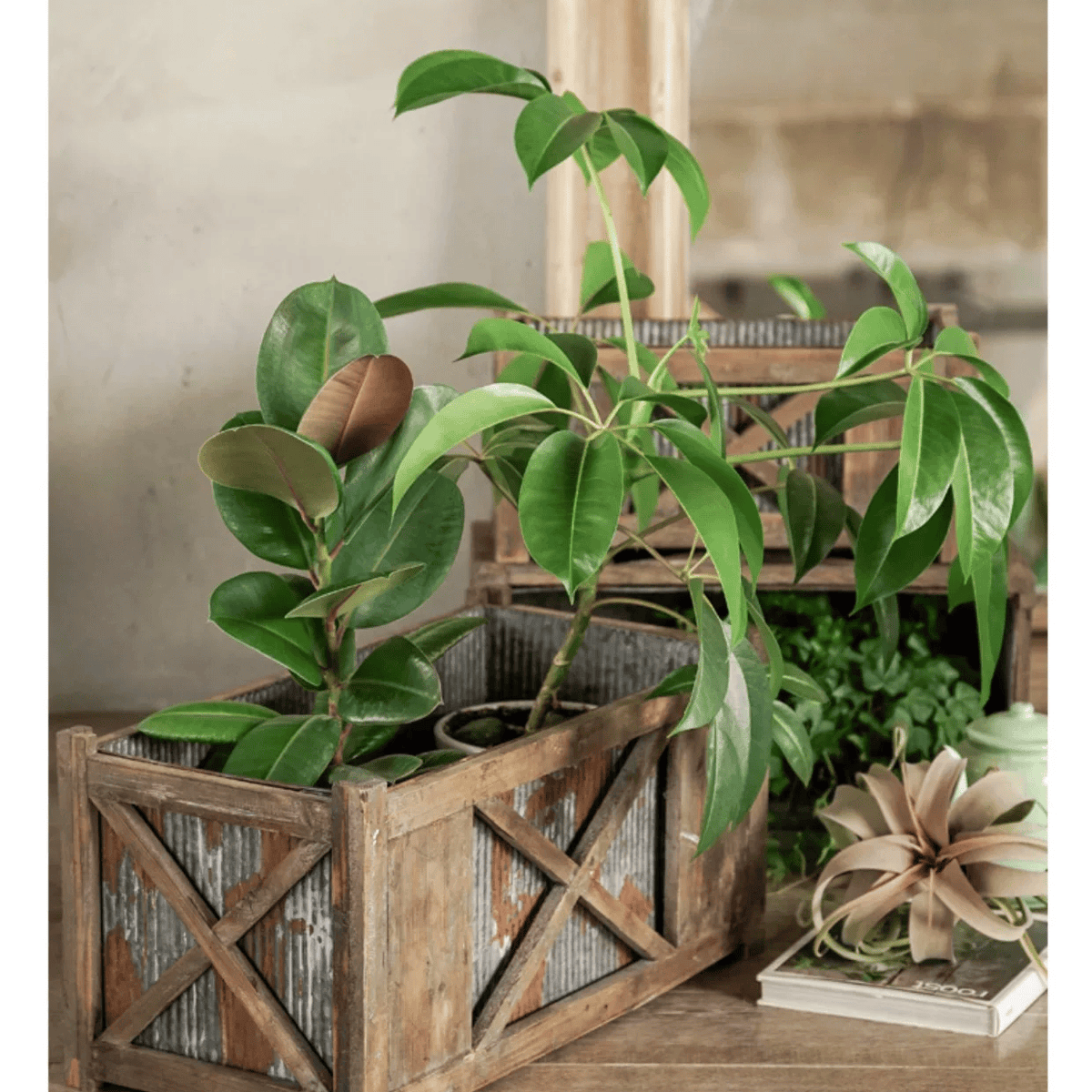 Weathered Garden Storage Planter