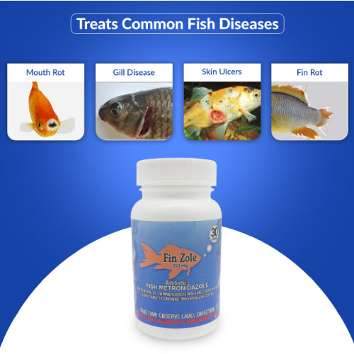 Fish Zole 250mg Tablet Aquarium – 30 Count – Water Care Support