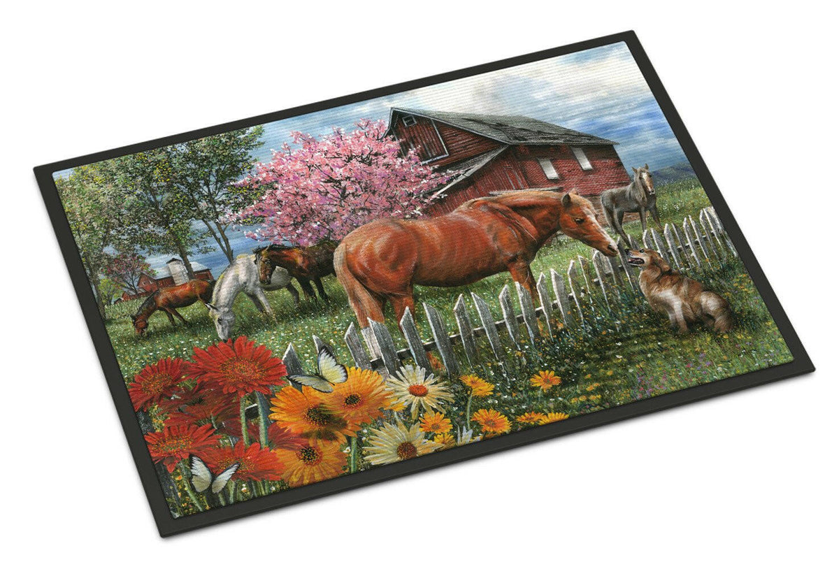 Horses Chatting with The Neighbors Doormat Indoor Outdoor 18H X 27W Front Door Mat Rugs for Entryway, Non Slip Washable