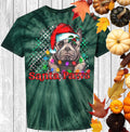 Santa Paws Graphic Tee
