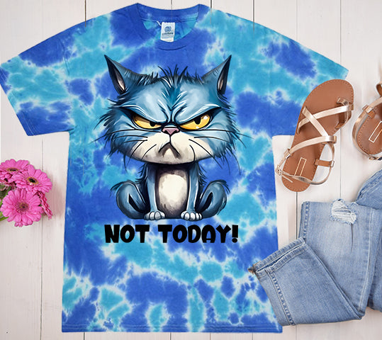 Not Today Graphic Tee