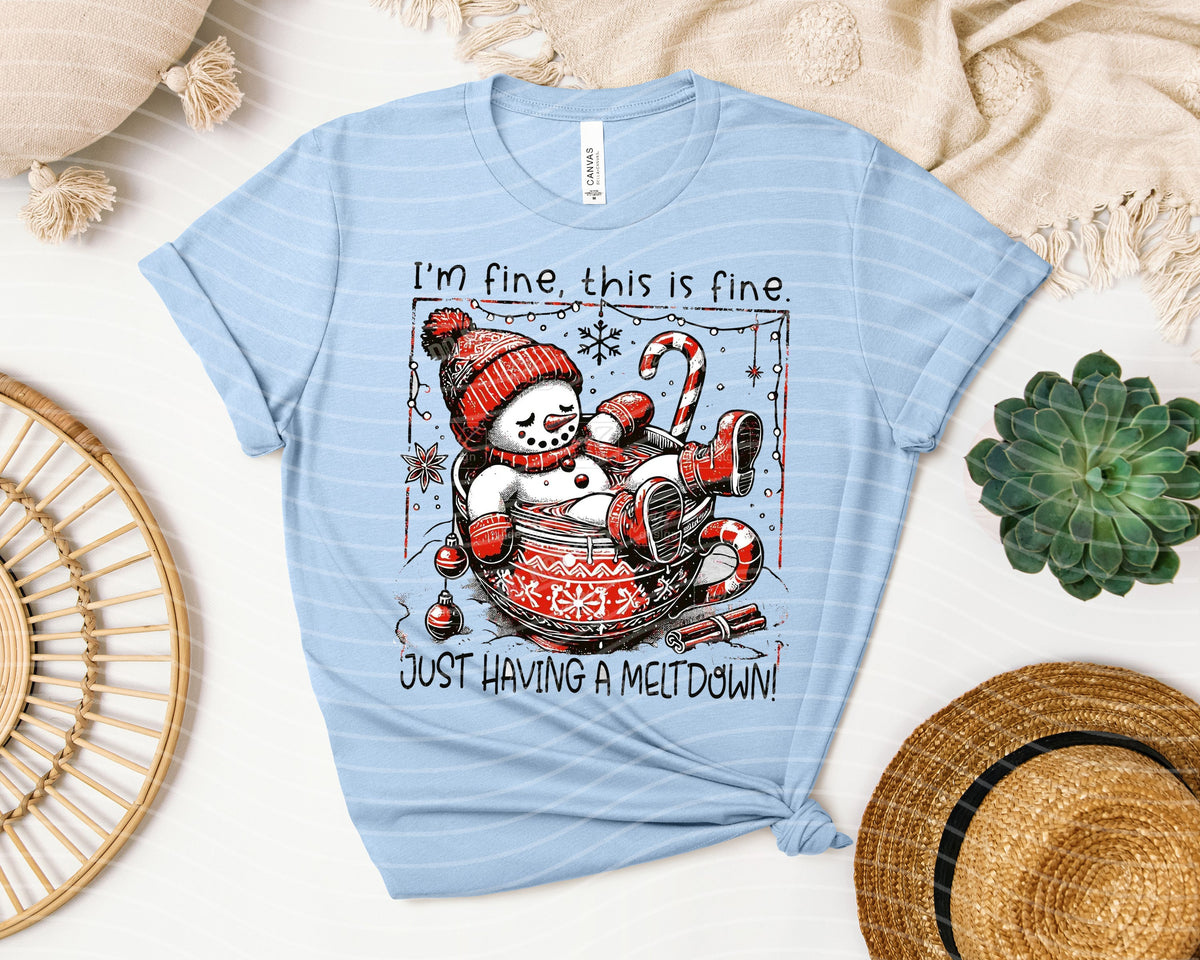 Just Having a Meltdown Graphic Tee