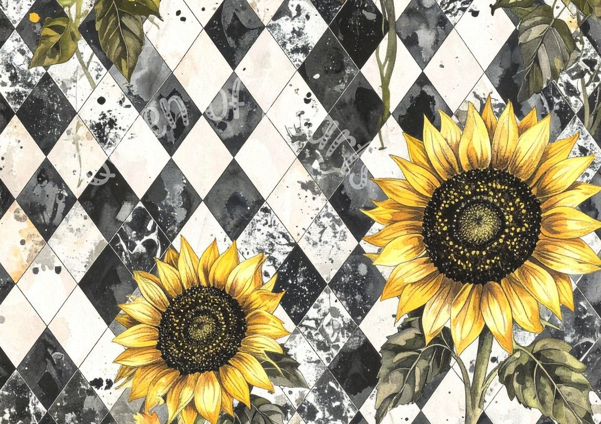 Queen of Hearts  - Tattered