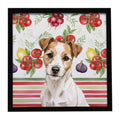 White with Tan Markings Russell Terrier Vegetables Framed Metal Print Bathroom, Kitchen, Office, Home Decor Wall Art Ready to Hang, Square, 8X8