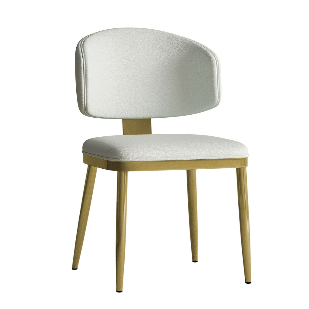 Modern Dining Chairs For Kitchen (Set of 2)