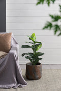 Antique Gray Cement Planter Small with Durable Construction - Garden Pot