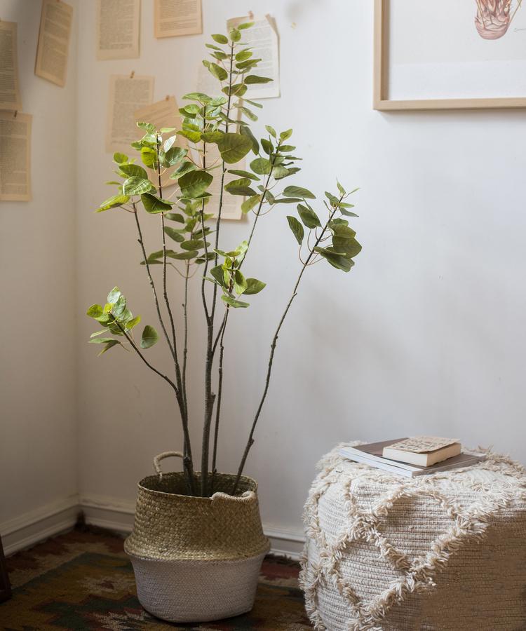 Artificial Silk Bauhinia Tree In Pot