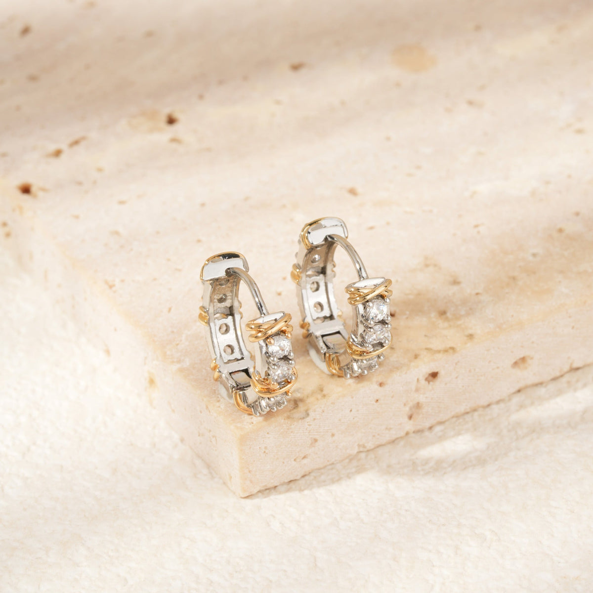 Fashionable Niche High-end Earrings
