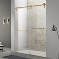 Frameless Single Sliding Shower Door