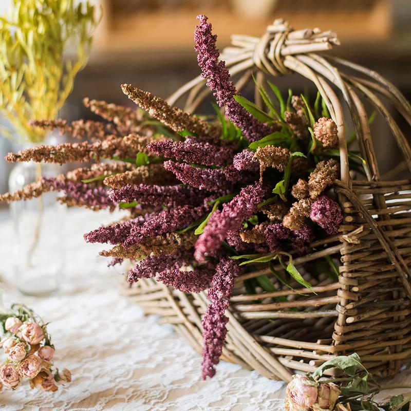 Buddleja Butterfly Bush Bundle 18" Tall