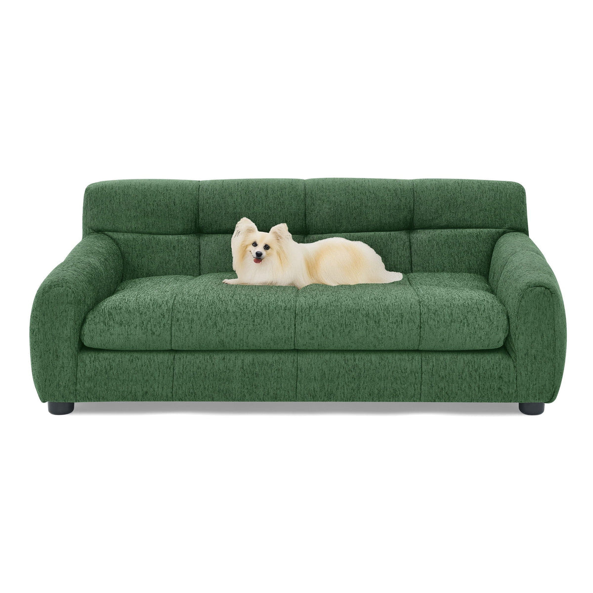 Modern Pet Sofa With Backrest And Armrests
