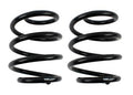 Classic Performance Lowering Coil Springs - RCS6035
