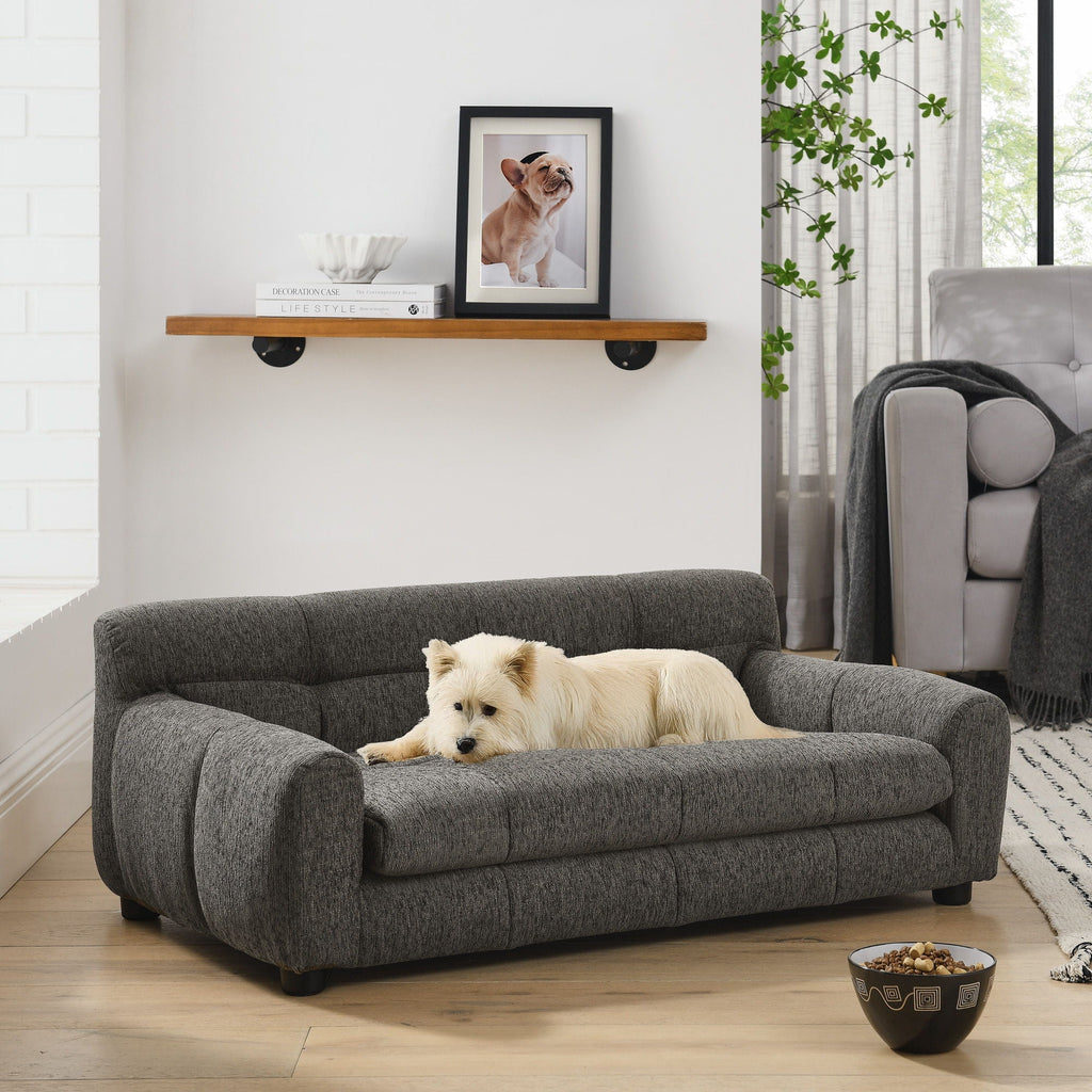 Modern Pet Sofa With Backrest And Armrests