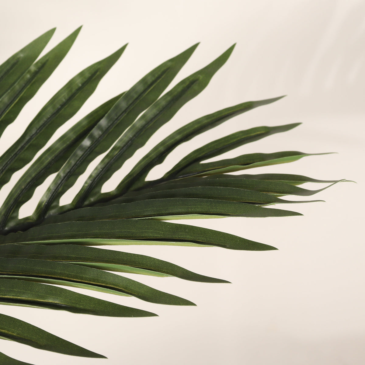 6FT Artificial Palm Tree with Realistic Detail - Green Leaves