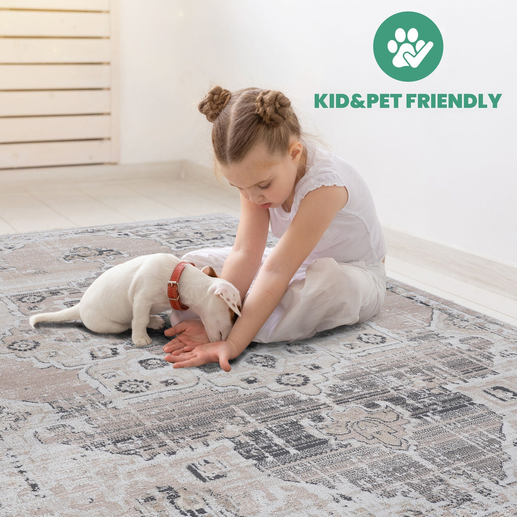 Payas Medallion Rug