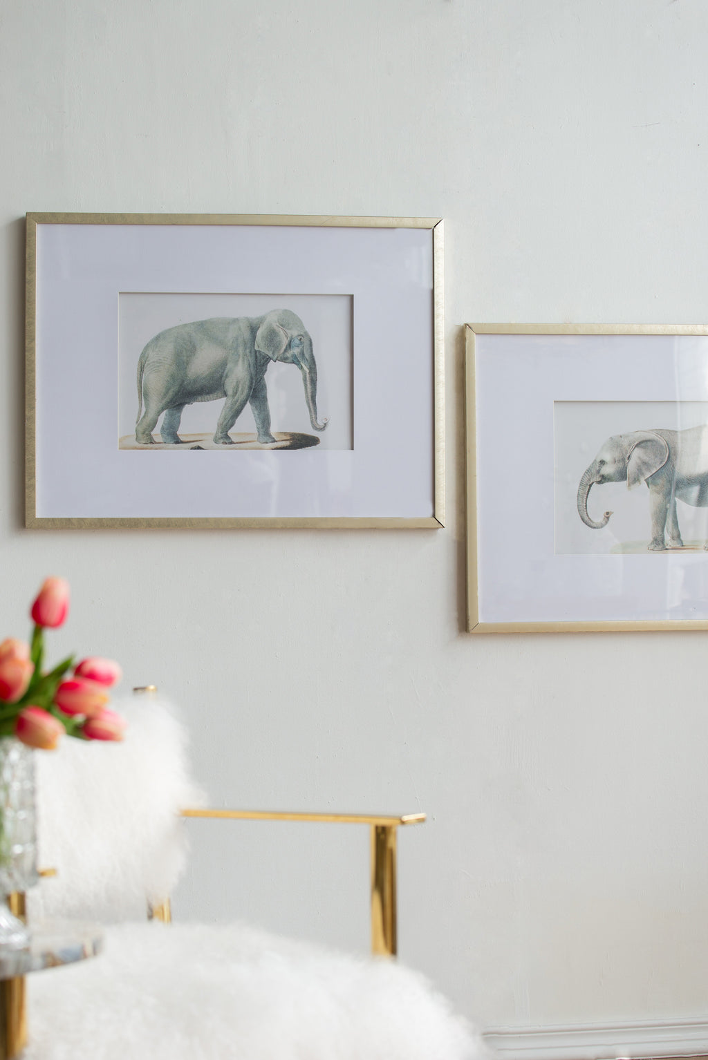 Elephant Pencil Drawings Wall Art Set with Glass Frames - Gray