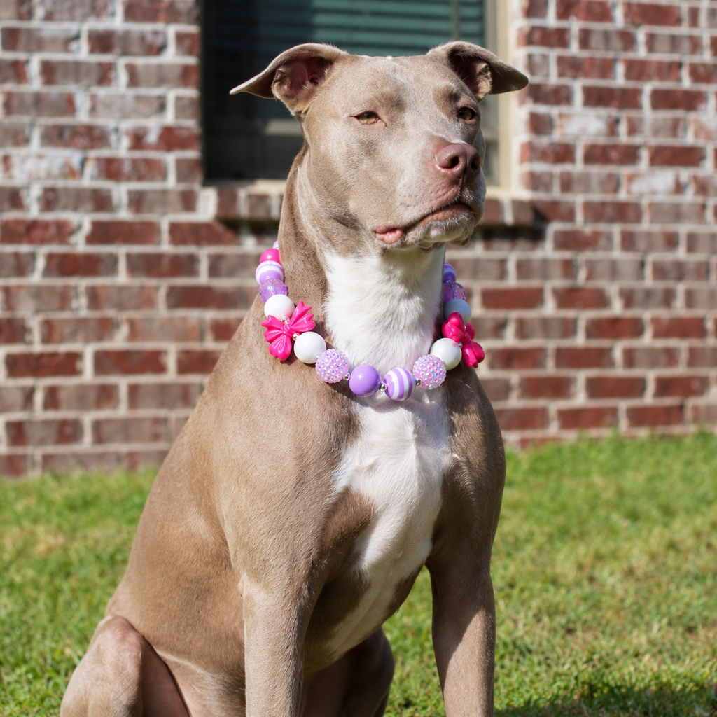 Pink Purple Bow Acrylic Beaded Dog Necklace - Large