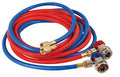 FJC Refrigerant Charge Hoses - 6448