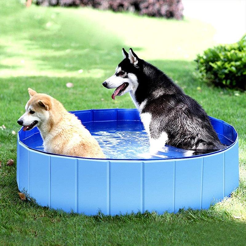 Foldable Dog Pool Pet Bath Swimming Tub Bathtub Outdoor Indoor Collapsible Bathing Pool for Dogs Cats Kids Pool Pet Bathing Tub Dog Pool Big Size Dog Swimming Pool Foldable Pet Pool Bath Swimming Tub Bathtub Pet Collapsible Bathing Pool for Dogs
