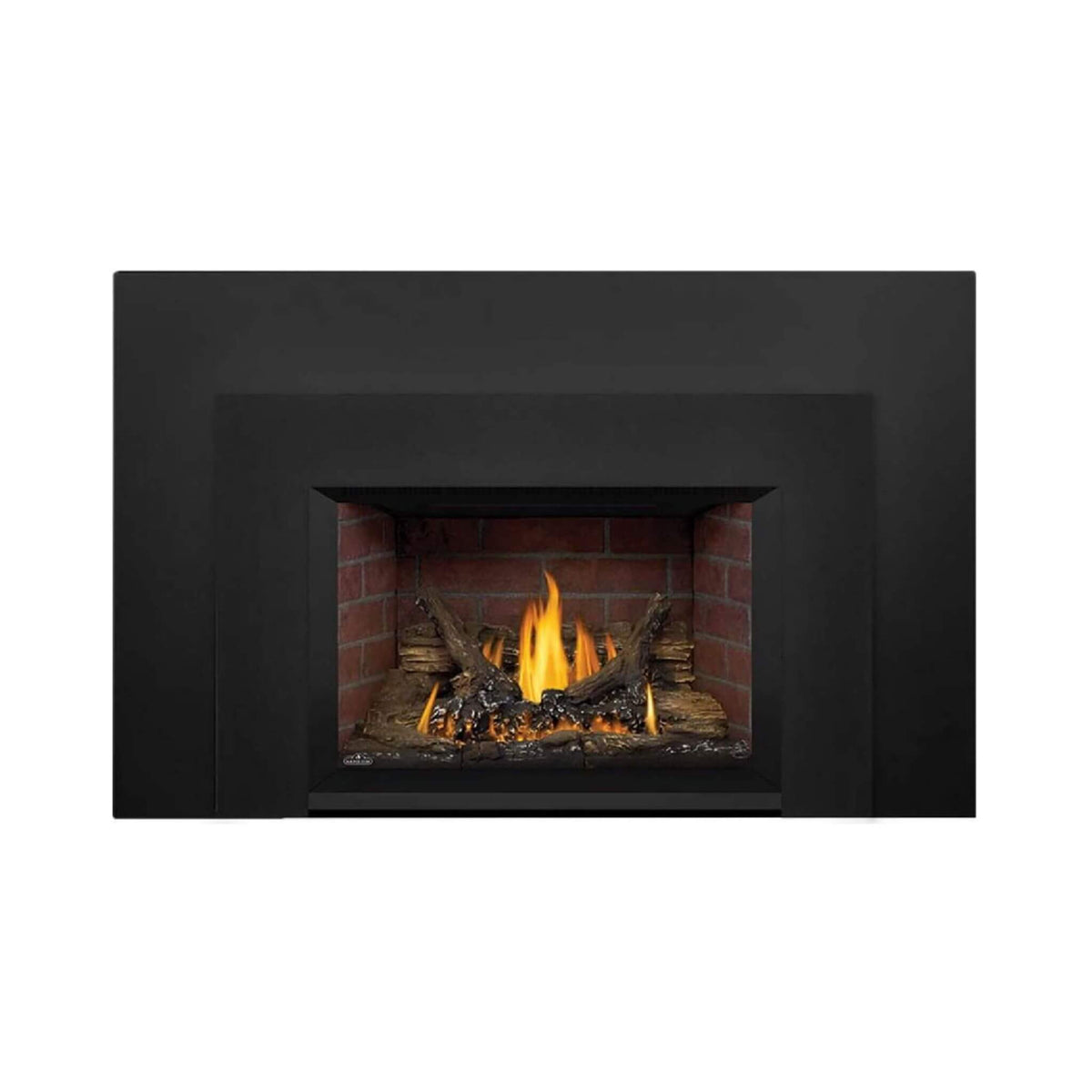 Napoleon Oakville 3 28-Inch Direct Vent Natural Gas Fireplace Insert [GDI3N-1] (SAK25498)