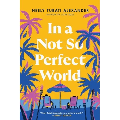 In a Not So Perfect World - Paperback