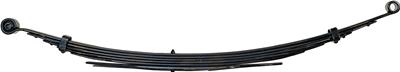 Dorman Leaf Springs - 34055