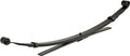 Dorman Leaf Springs - 90173