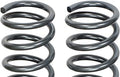 Dorman Severe Heavy-Duty Coil Springs - 929913