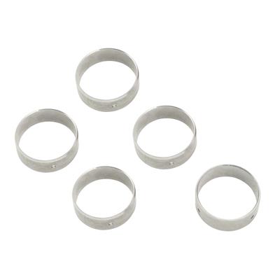 Sealed Power Cam Bearings - 2100M